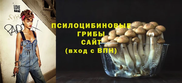 mdpv Арсеньев