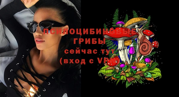 mdpv Арсеньев